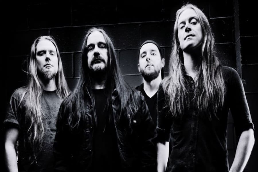carcass